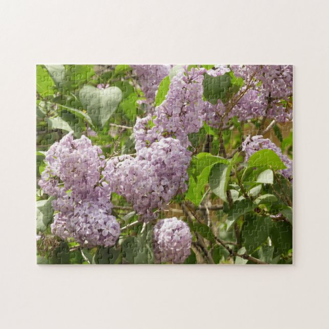 Puzzle Lilac Bush hermosas flores de primavera morada (Horizontal)