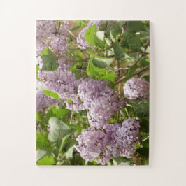 Puzzle Lilac Bush hermosas flores de primavera morada