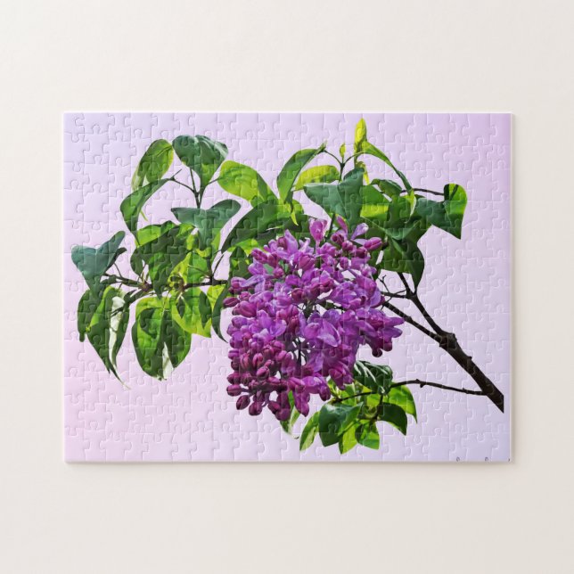 Puzzle Lilacs Just Opening (Horizontal)