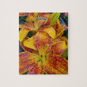 Puzzle Lilies