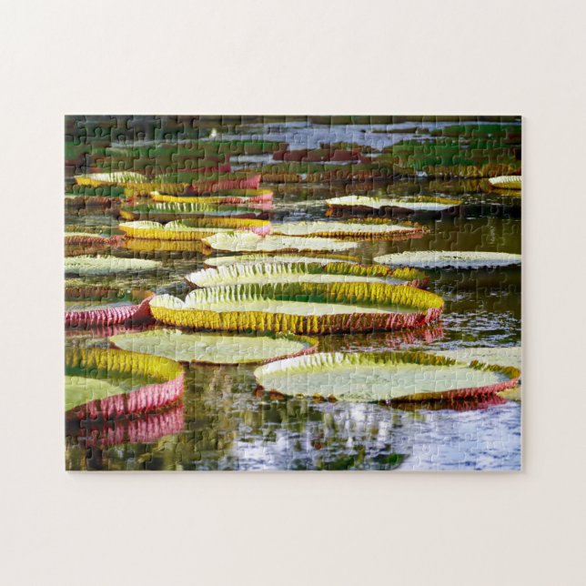 Puzzle Lilies de agua. (Horizontal)