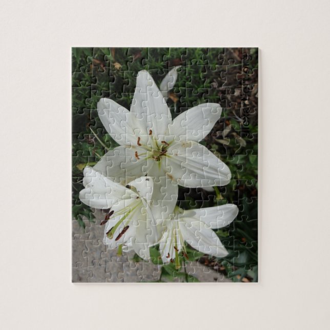 Puzzle Lilly blanco (Vertical)