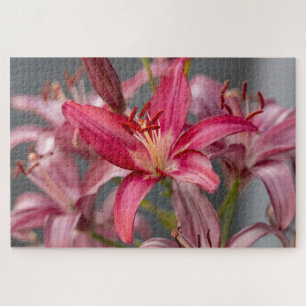 Puzzle Lily asiática rosa - Fotografía elegante de flores