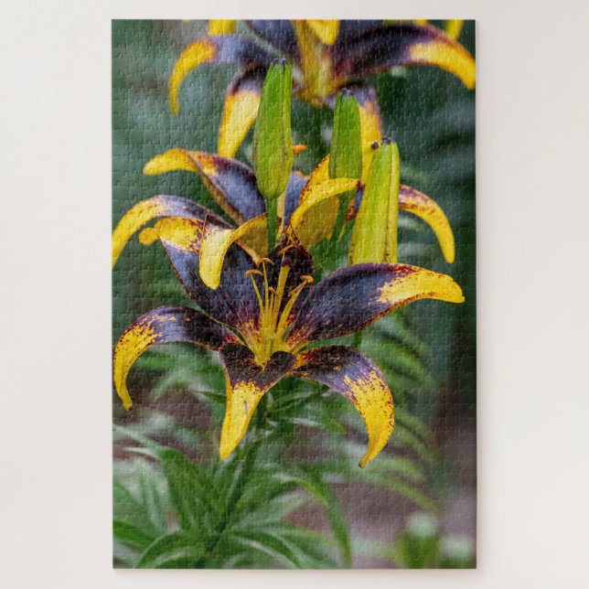 Puzzle Lily Híbrida Negra - Dramática Foto Floral (Vertical)