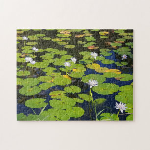 Puzzle Lily Pad Pond Photo o Your Photo