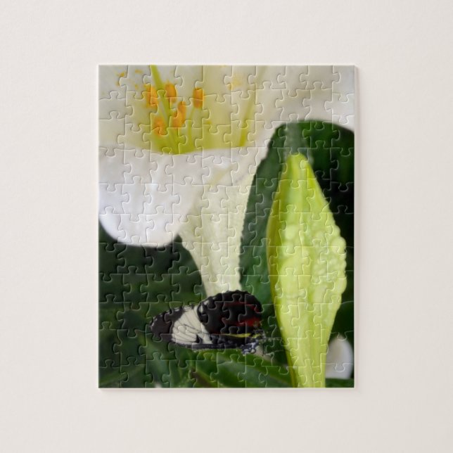Puzzle Lily y Mariposa (Vertical)