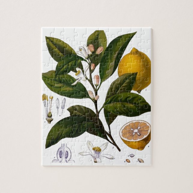 Puzzle Limón (Vertical)
