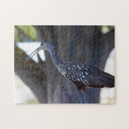 Puzzle Limpkin