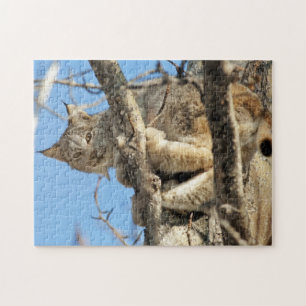 Puzzle Lince dañoso