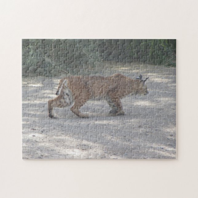 Puzzle Lince de acecho (Horizontal)