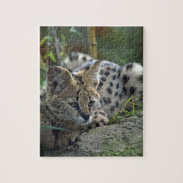 Puzzle Lince salvaje (Vertical)