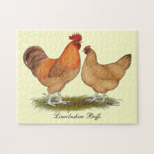 Puzzle Lincoln Buff Chickens