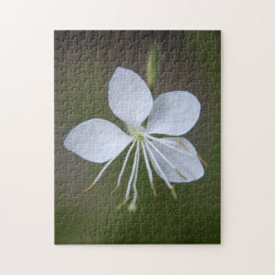 Puzzle Lindheimeri de Gaura - mariposas girantes