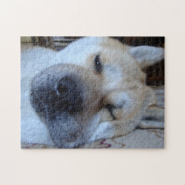 Puzzle lindo akita durmiendo perros originales foto de do (Horizontal)