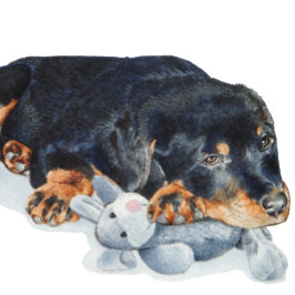 Puzzle lindo cachorro rottweiler cuddddddys teddy