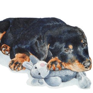 Puzzle lindo cachorro rottweiler cuddddddys teddy