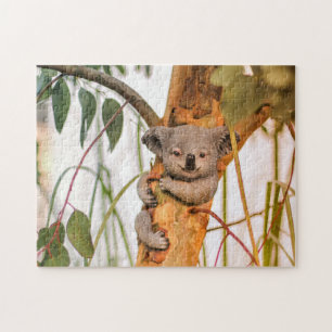 Puzzle lindo oso koala