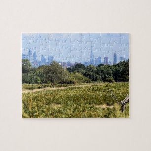 Puzzle Línea aérea de Londres desde Richmond Park - 8x1
