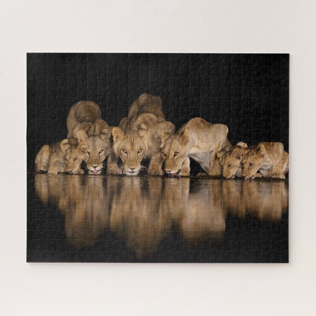 Puzzle Lion Pride Drinks at the Water Hole at Night (Horizontal)