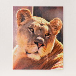 Puzzle Lionesa