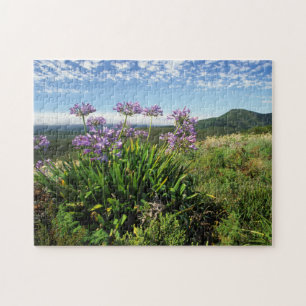 Puzzle Lirio africano (Agapanthus praecox), Mossel Bay