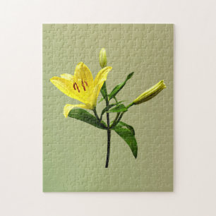 Puzzle Lirio amarillo