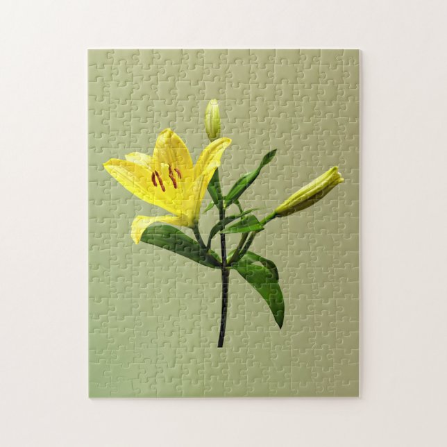 Puzzle Lirio amarillo (Vertical)