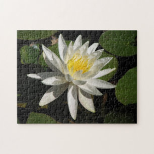 Puzzle Lirio blanco