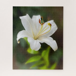 Puzzle Lirio blanco brillante