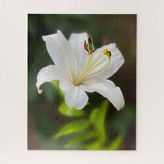 Puzzle Lirio blanco brillante (Vertical)