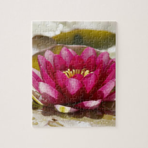 Puzzle Lirio de agua