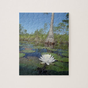 Puzzle Lirio de agua 2