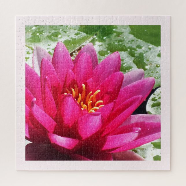 Puzzle lirio de agua de bonito (Vertical)