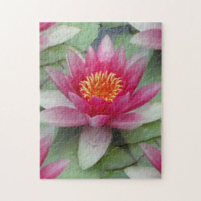 Puzzle Lirio de agua de Lotus rosa (Vertical)
