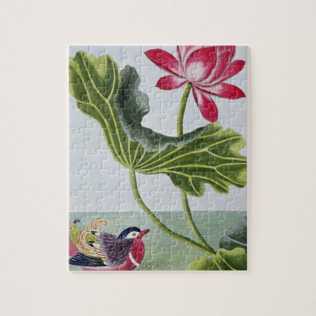 Puzzle Lirio de agua roja chino, volumen I, placa 82, de (Vertical)