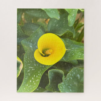 Puzzle Lirio de Calla Amarillo, San Mateo