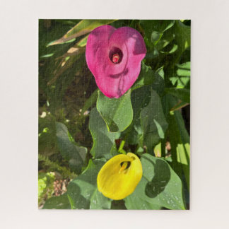 Puzzle Lirio de Calla Rosa y Amarillo, San Mateo