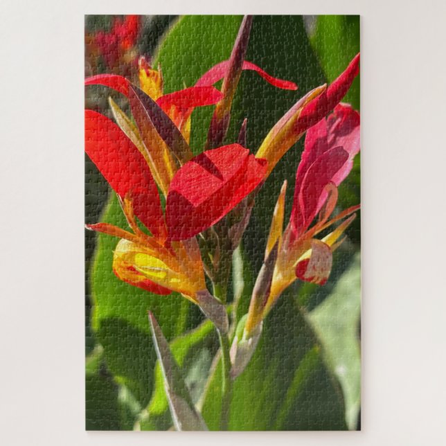 Puzzle Lirio de Canna Rojo, Oakland (Vertical)