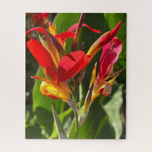 Puzzle Lirio de Canna Rojo, Oakland