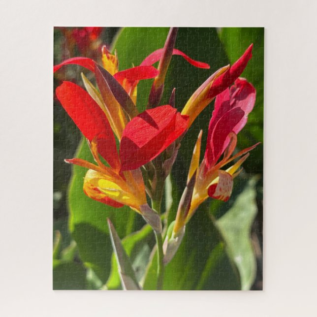 Puzzle Lirio de Canna Rojo, Oakland (Vertical)