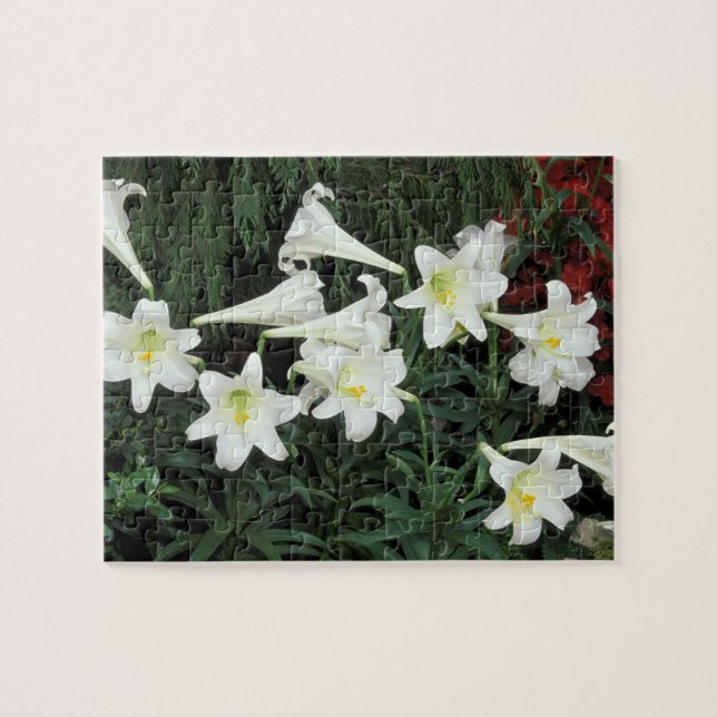 Puzzle Lirio de Pascua (Lilium regale) (Horizontal)
