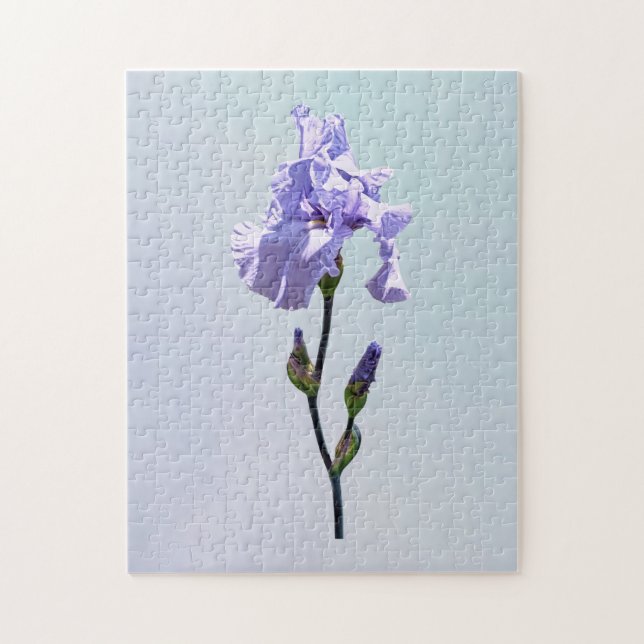 Puzzle Lirio lavanda y capullos (Vertical)