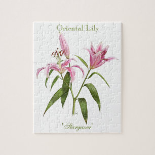 Puzzle Lirio Oriental - Stargazer