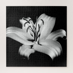 Puzzle Lirio plateado: Elegancia floral monocroma.