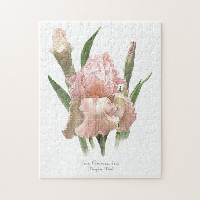 Puzzle Lirio rosa sonrojado (Vertical)