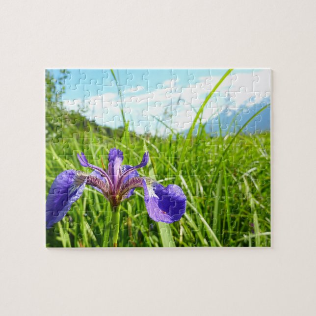 Puzzle Lirio silvestre y paisaje de Alaska (Horizontal)