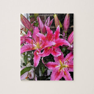 Puzzle Lirio Stargazer Rosa