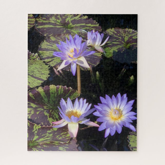 Puzzle Lirios de Agua (Vertical)