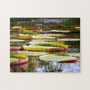 Puzzle Lirios de agua.