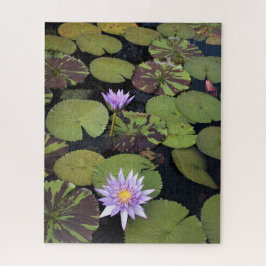 Puzzle Lirios de agua